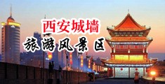 免费插阴道视屏中国陕西-西安城墙旅游风景区